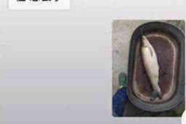 宣恩宣恩讨债公司服务